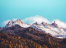 华体会官网-【直播】萝卜回应打狼队葫芦娃救爷爷：第一个人下去，就没有回头路了