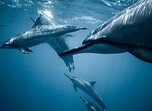 开云体育——开启你的极致运动体验